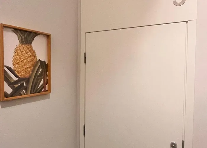 Nr 9 - J26 Luxury Apartment, Jauniela 26 Old - Location *